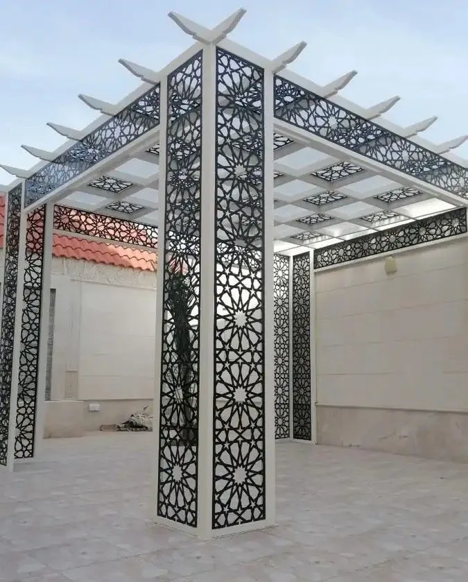 صورة إضافية