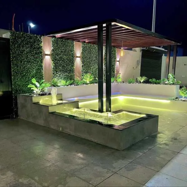 صورة إضافية