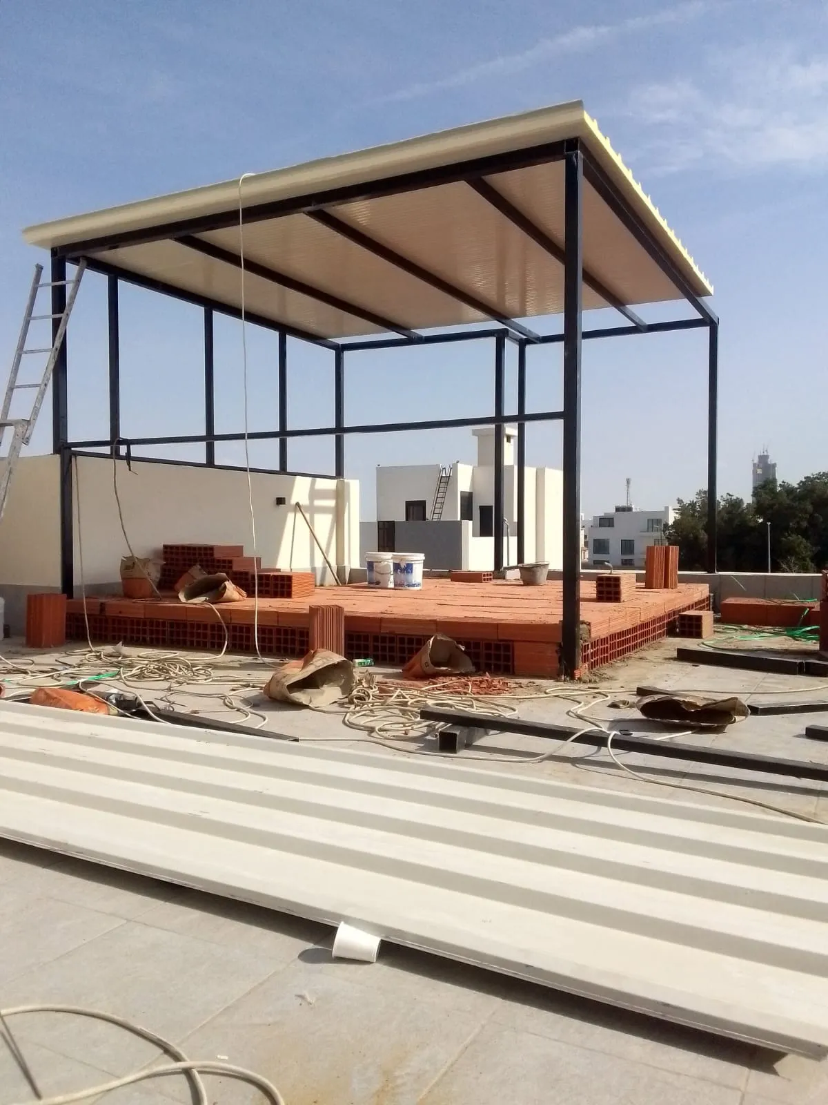 صورة إضافية