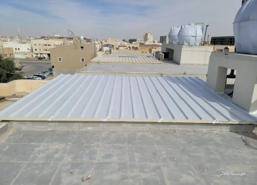 صورة إضافية