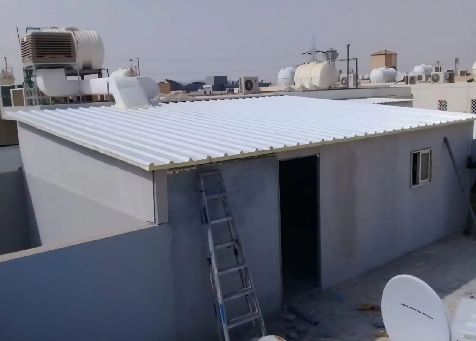 صورة إضافية