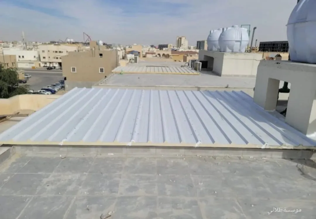 صورة إضافية