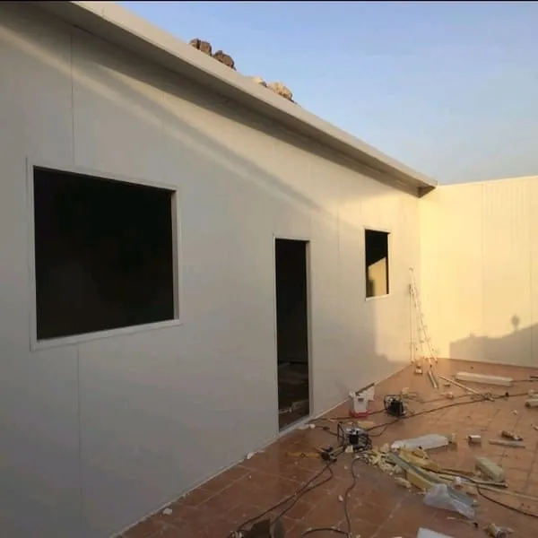 صورة إضافية